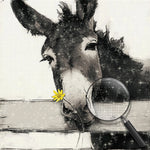 Donkey and Yellow Daisy Diamond Painting