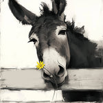 Donkey and Yellow Daisy Diamond Painting