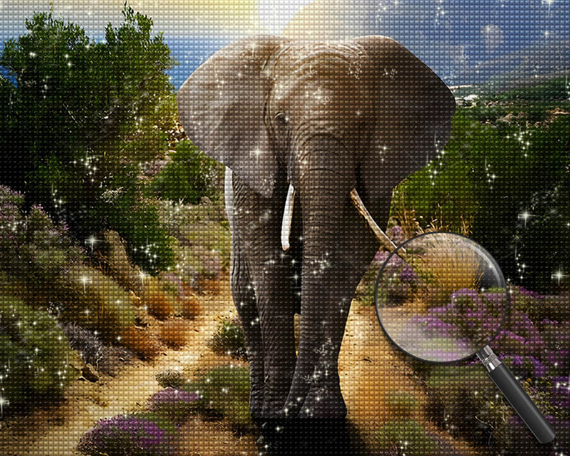 Elephant on the Dirt Road Diamond Painting