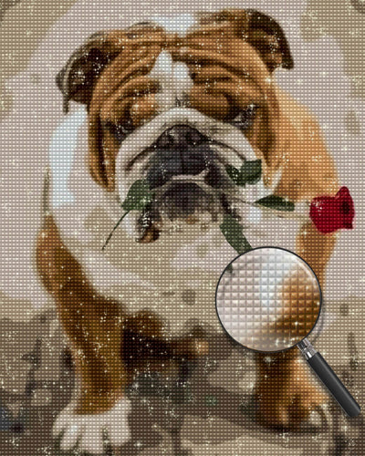 English Bulldog and a Red Rose Diamond Painting