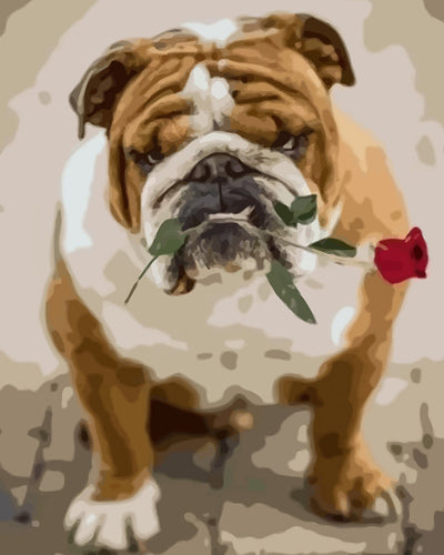 English Bulldog and a Red Rose Diamond Painting