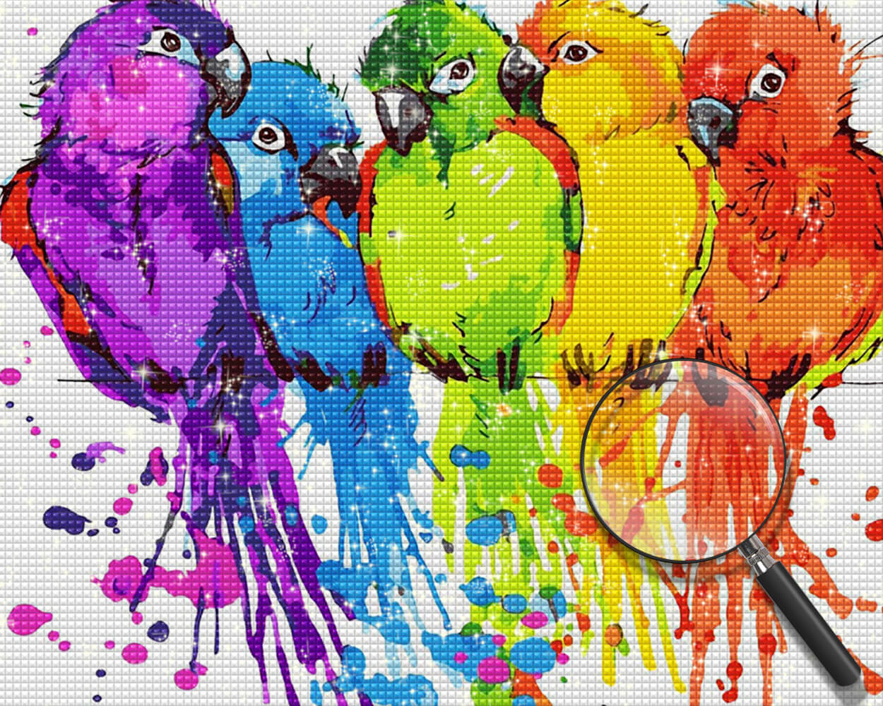Five Colorful Parrots Diamond Painting