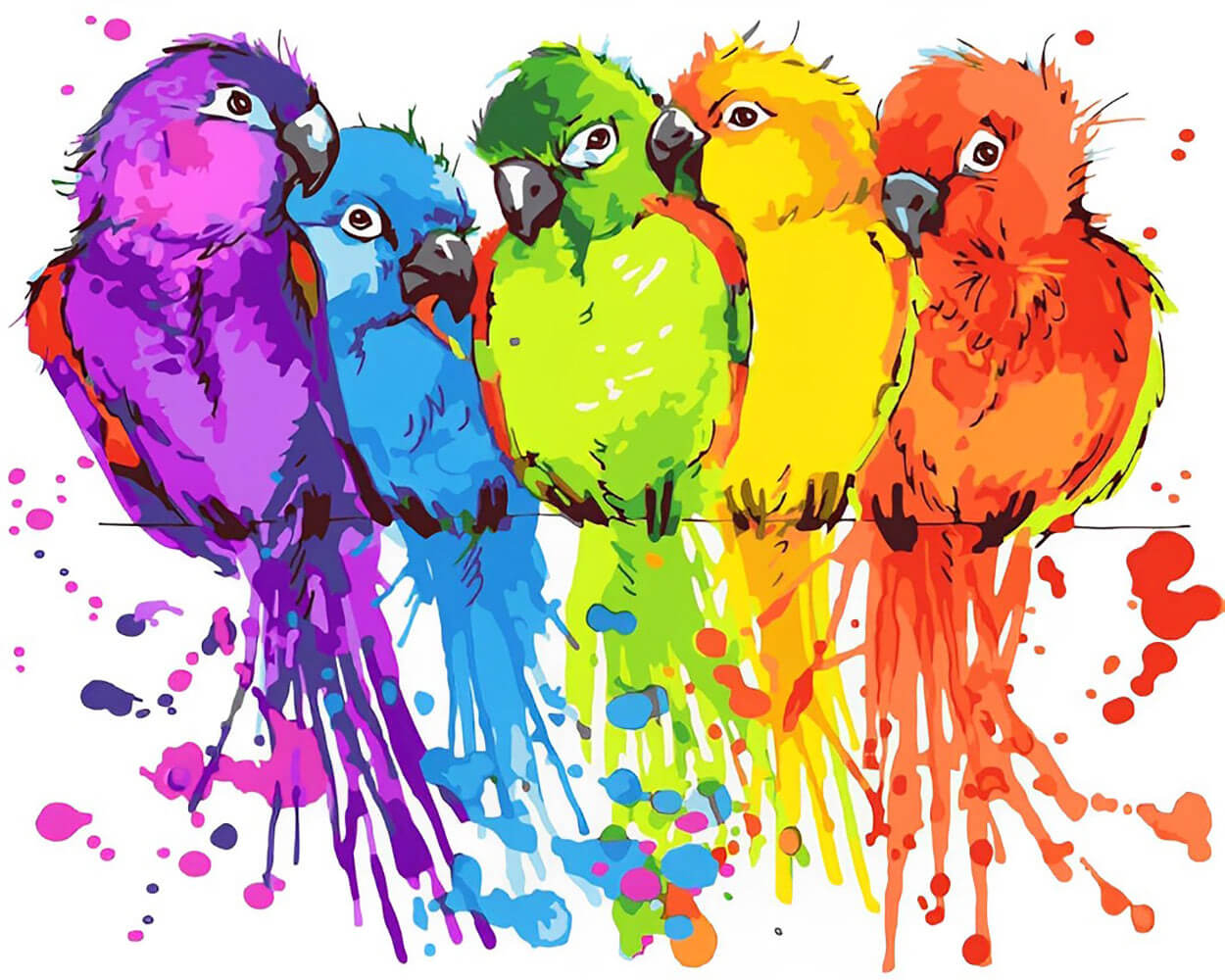Five Colorful Parrots Diamond Painting