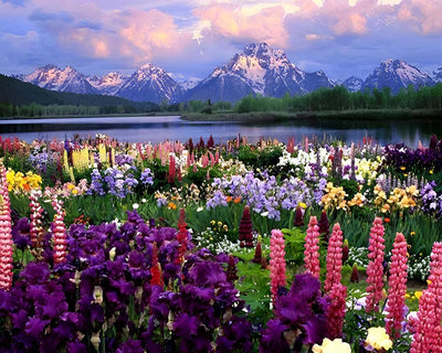 Flower Field and Mountains by the Lake Diamond Painting