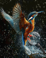 Flying Bird and Water Diamond Painting