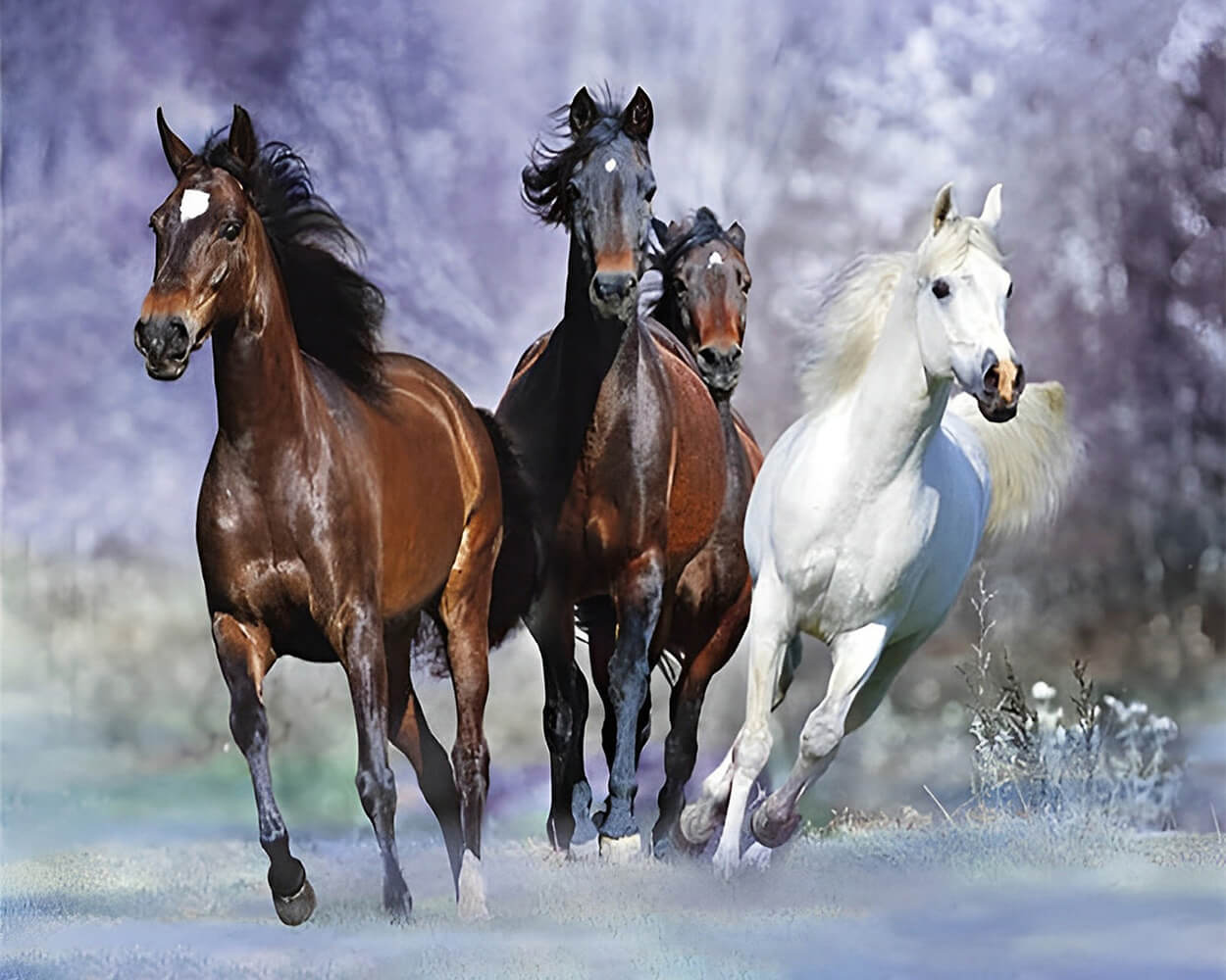 Four Running Horses Diamond Painting