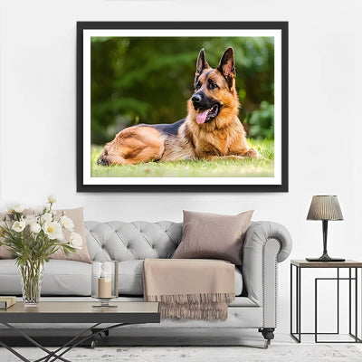 German Shepherd Sitting on the Grass Diamond Painting