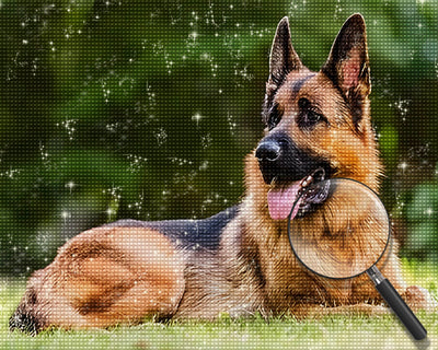 German Shepherd Sitting on the Grass Diamond Painting