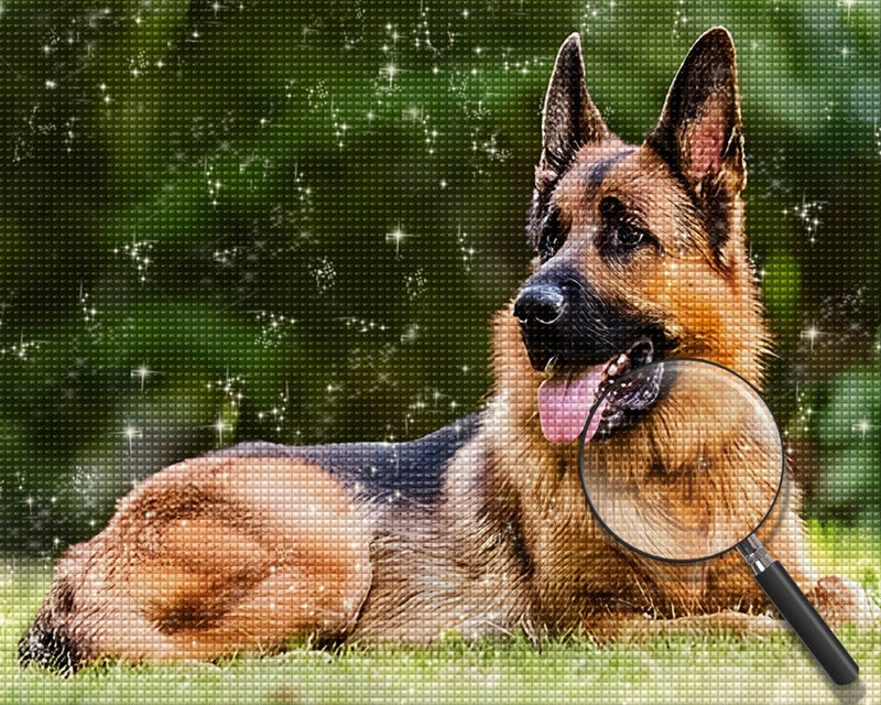 German Shepherd Sitting on the Grass Diamond Painting
