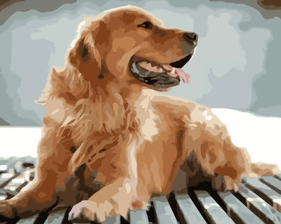 Golden Retriever Dog Diamond Painting