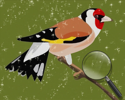 Goldfinch Diamond Painting