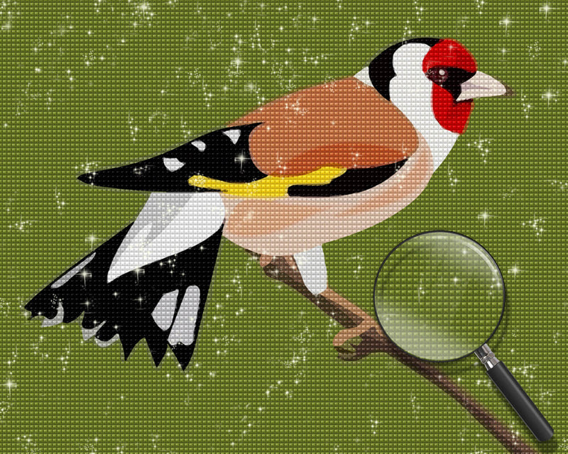 Goldfinch Diamond Painting