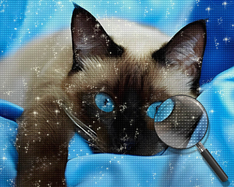 Gray Cat with Blue Eyes Diamond Painting 