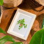 Green Potted Plants 12Pcs - Mini Diamond Painting Kit