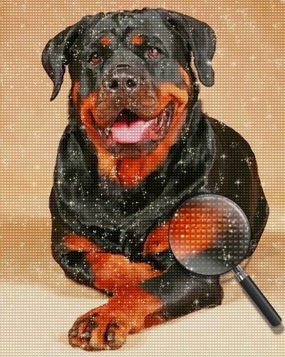 Happy Rottweiler Sitting on the Ground Diamond Painting