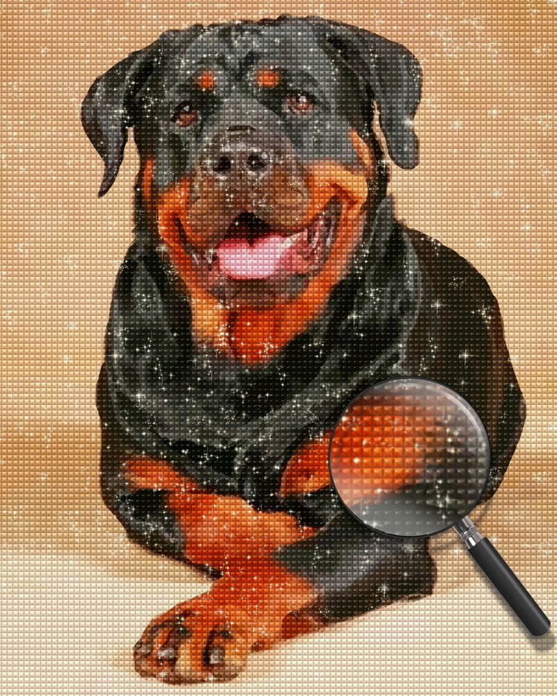 Happy Rottweiler Sitting on the Ground Diamond Painting