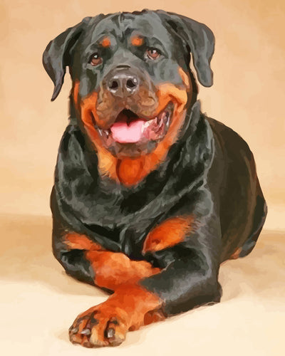 Happy Rottweiler Sitting on the Ground Diamond Painting