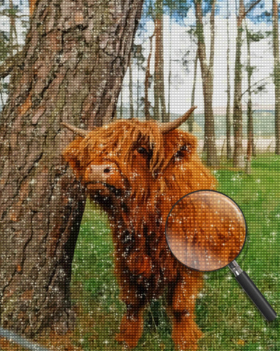 Highland Cattle and Thick Tree Trunk Diamond Painting