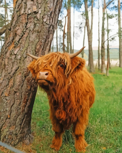 Highland Cattle and Thick Tree Trunk Diamond Painting