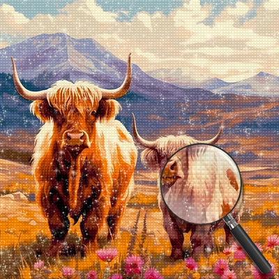 Highland Cattle on the Slope Diamond Painting