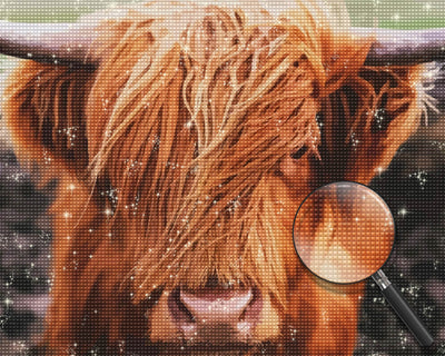 Highland Cow Head Diamond Painting