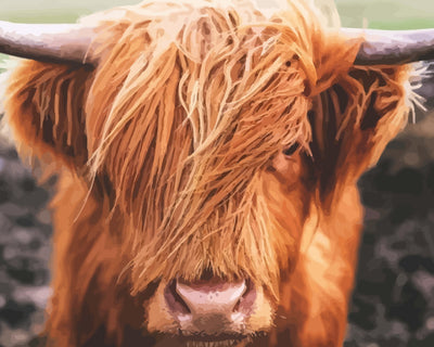 Highland Cow Head Diamond Painting