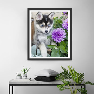 Husky Baby and Purple Chrysanthemums Diamond Painting