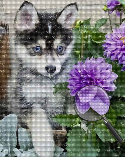 Husky Baby and Purple Chrysanthemums Diamond Painting