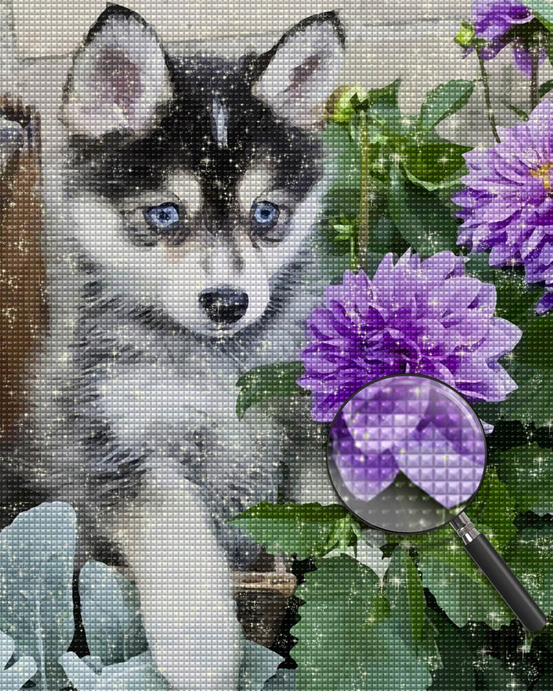 Husky Baby and Purple Chrysanthemums Diamond Painting