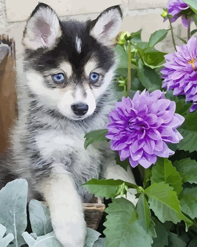 Husky Baby and Purple Chrysanthemums Diamond Painting