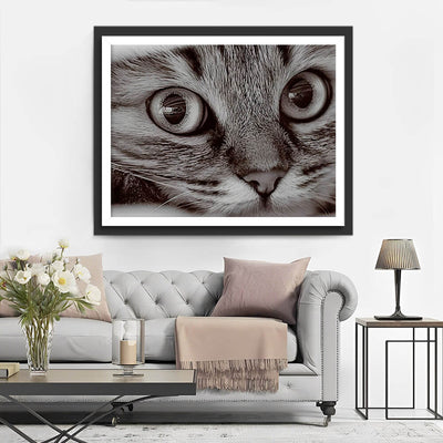 Little Gray Cat Diamond Painting