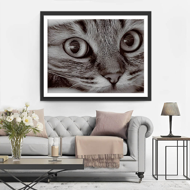 Little Gray Cat Diamond Painting