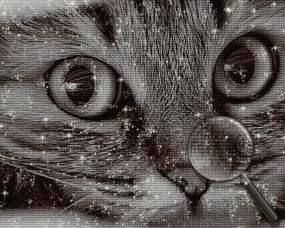 Little Gray Cat Diamond Painting