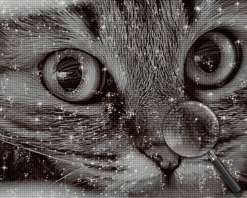 Little Gray Cat Diamond Painting