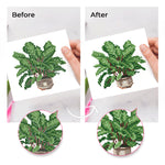 Lush Potted Plants 12Pcs - Mini Diamond Painting Kit