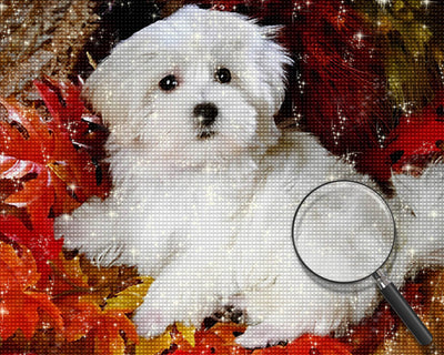 Maltese among Maple Leaves Diamond Painting
