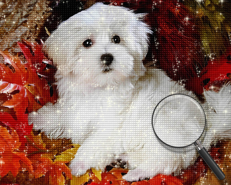 Maltese among Maple Leaves Diamond Painting
