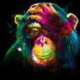 Monkey