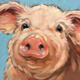 Pig