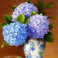 Hydrangea