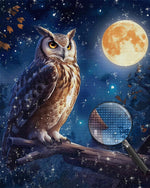 Owl and Moon Diamond Painting