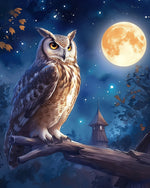 Owl and Moon Diamond Painting