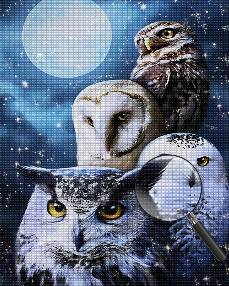 Owl Family and Moon Diamond Painting