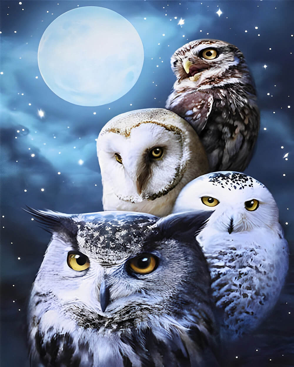 Owl Family and Moon Diamond Painting