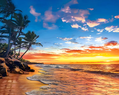 Palm Tree by the Sea at Sunset Diamond Painting