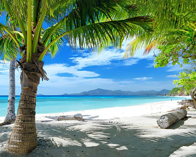 Palm Tree by the Sea Diamond Painting