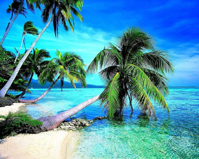 Palm Trees by the Sea Diamond Painting