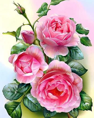 Pink Peonies Diamond Painting