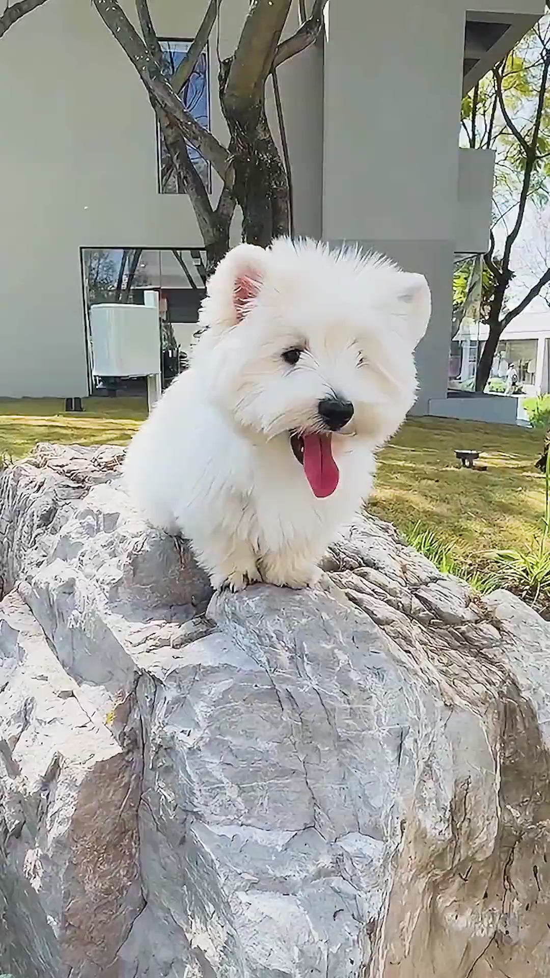 Custom Diamond Painting