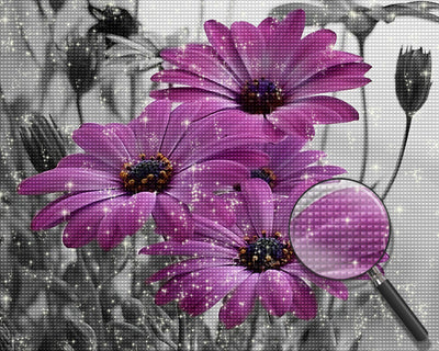 Purple Chrysanthemum Diamond Painting